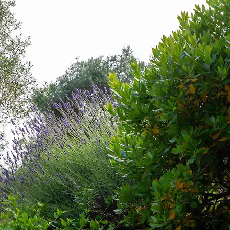 Agri Borgata Vallone - - By Host4u 아파트