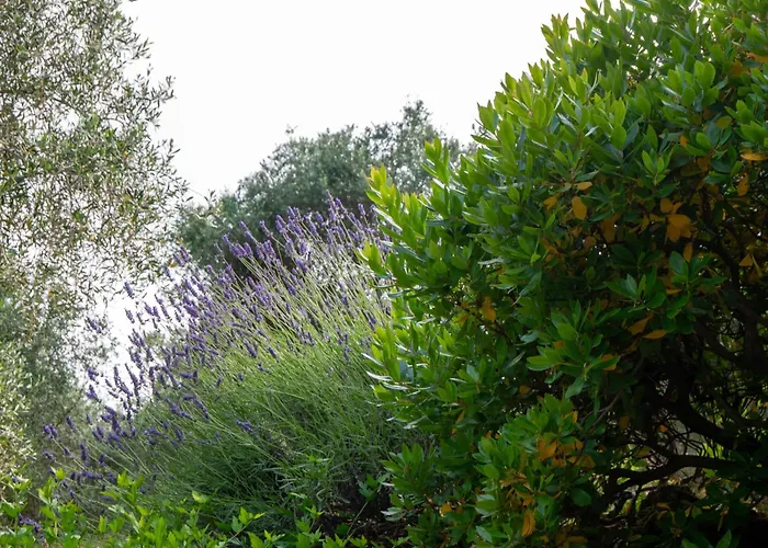 Host4u - Borgata Vallone With Stunning Garden And Parking Apartment