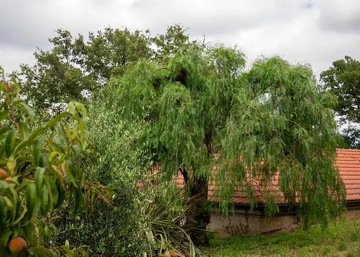 Διαμέρισμα Host4u - Borgata Vallone With Stunning Garden And Parking *
