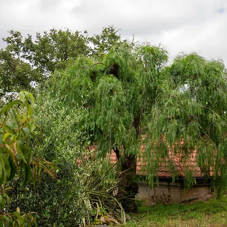 公寓 Agri Borgata Vallone - - By Host4u *