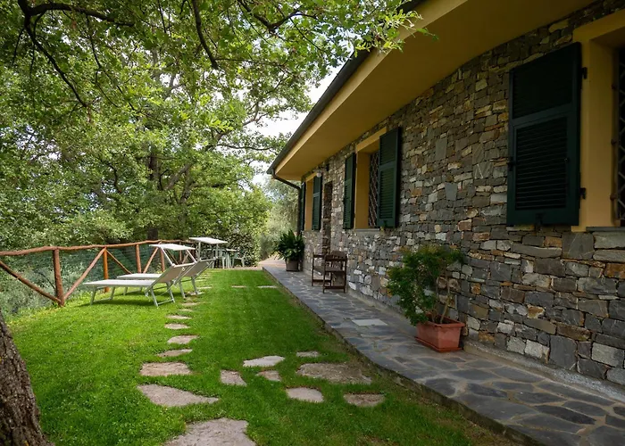 Host4u - Borgata Vallone With Stunning Garden And Parking 公寓